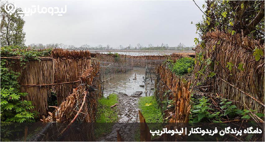 دامگاه پرندگان فریدونکنار