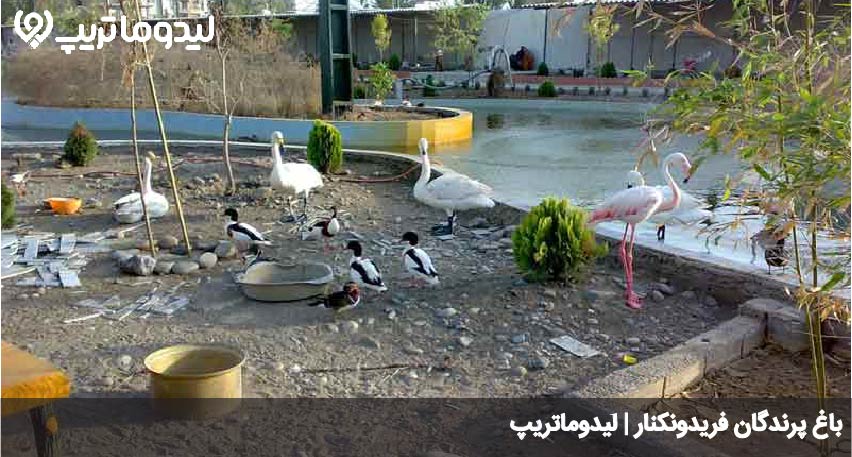 باغ پرندگان