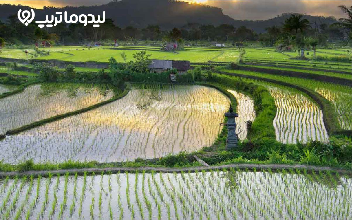 جاهای دیدنی فریدونکنار، راهنمای گشت و گذار در خوش آب و هواترین شهر مازندران