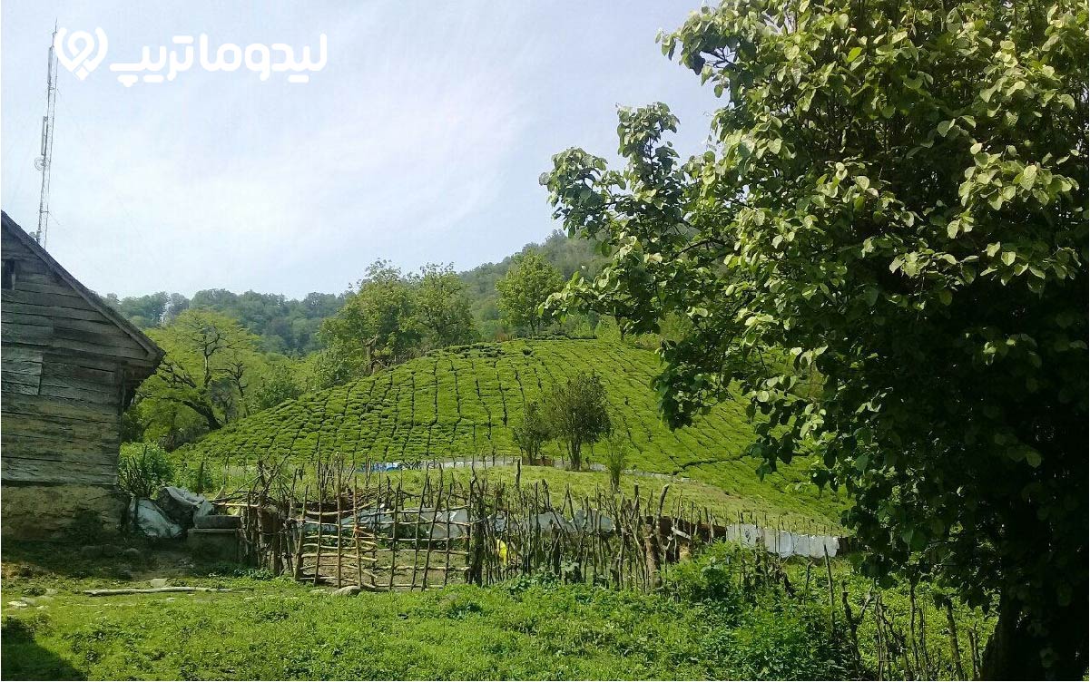 روستای فوشه، روستایی کوهپایه ای با چشم انداز فوق العاده