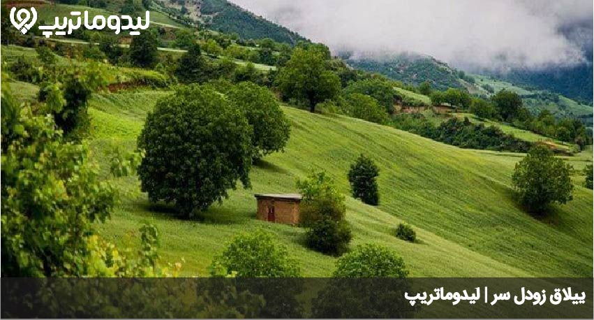 زودل سر