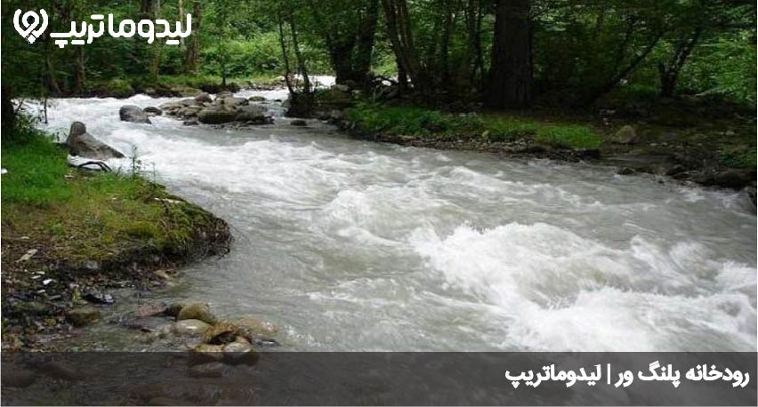 رودخانه پلنگ ور