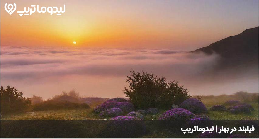 فیلبند در بهار