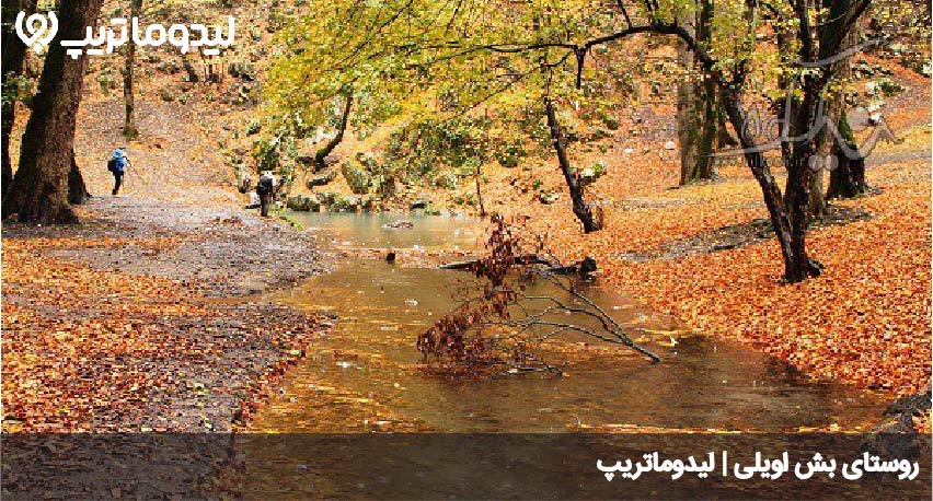 بش اویلی