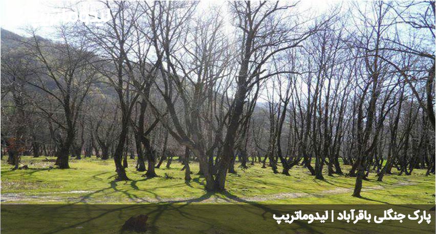 پارک جنگلی باقراباد