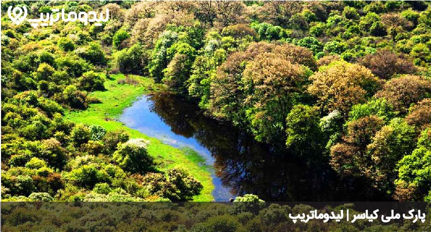 پارک ملی گلستان