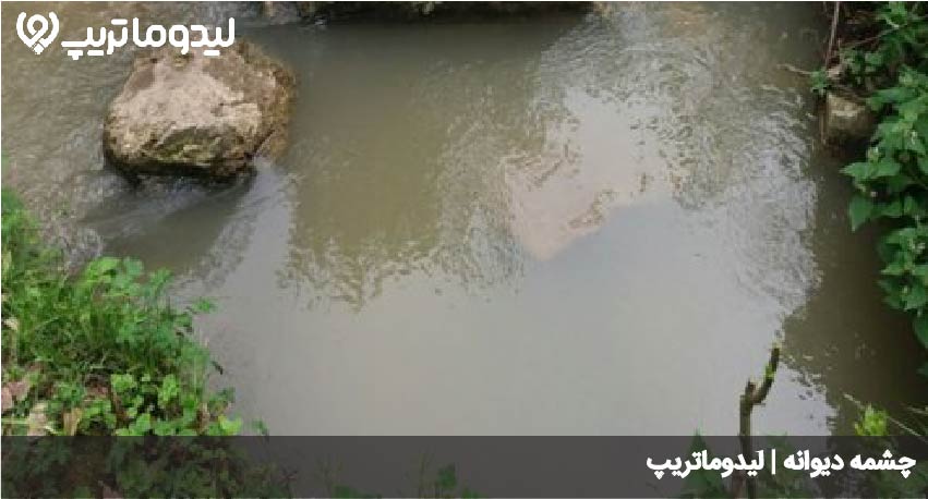 چشمه دیوانه
