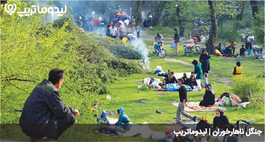 پیک نیک در ناهارخوران