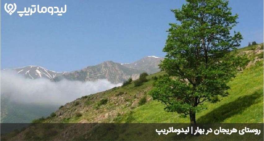 هریجان