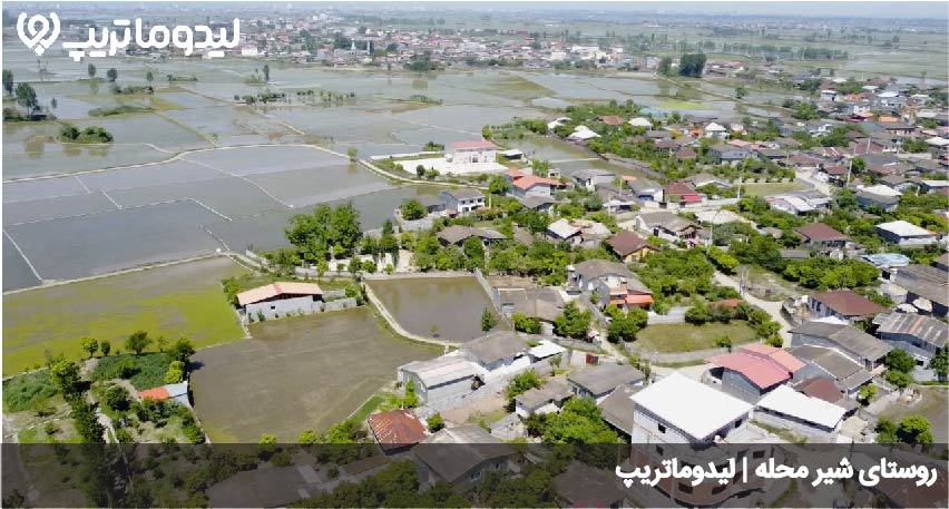 شیر محله