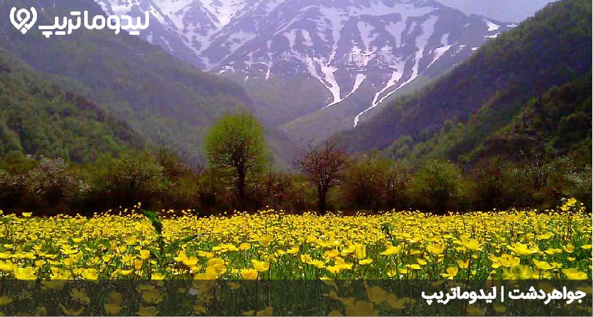 جواهردشت