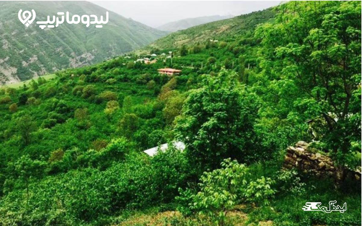 جاهای دیدنی کلاچای، شهر درختان سر به فلک کشیده و جنگل های انبوه