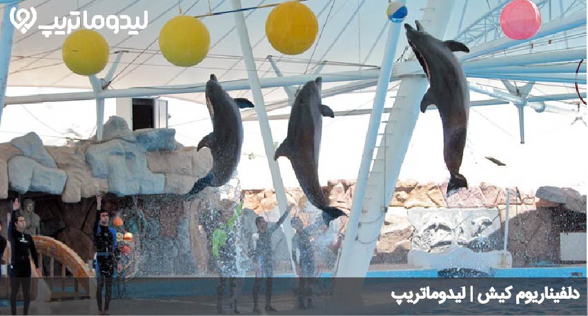 دلفیناریوم