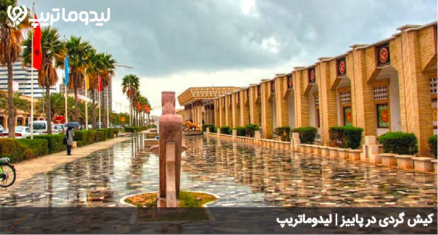 کیش گردی در پاییز