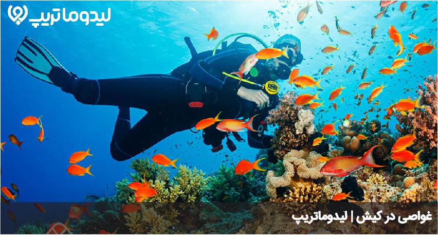 غواصی کیش