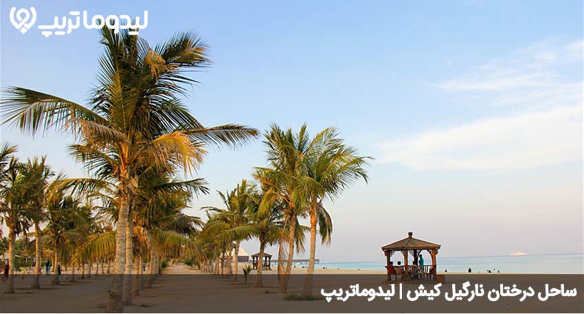 ساحل درختان نارگیل