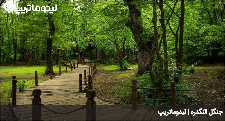 جنگل النگدره