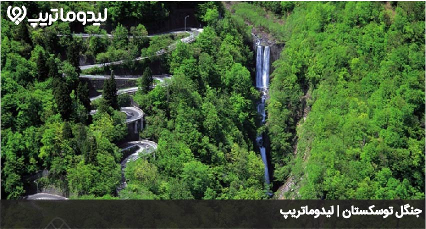 جنگل توسکستان
