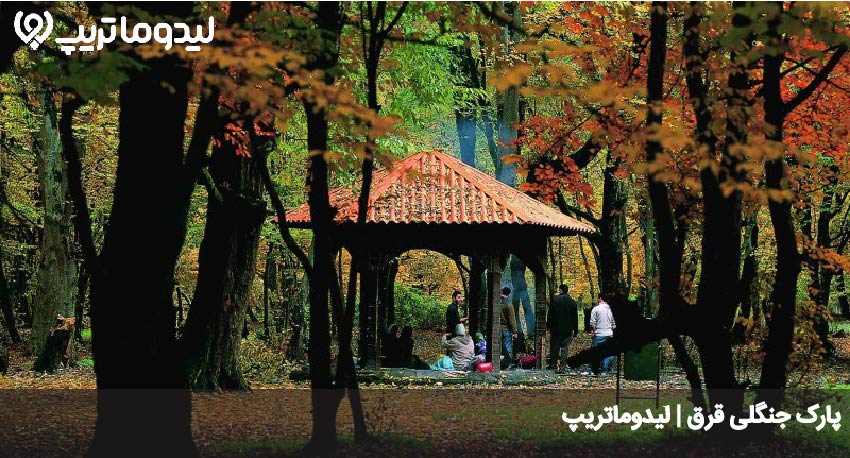 پارک جنگلی قرق