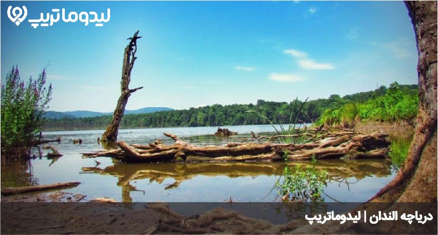 الندان