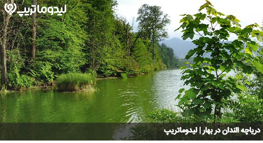 الندان
