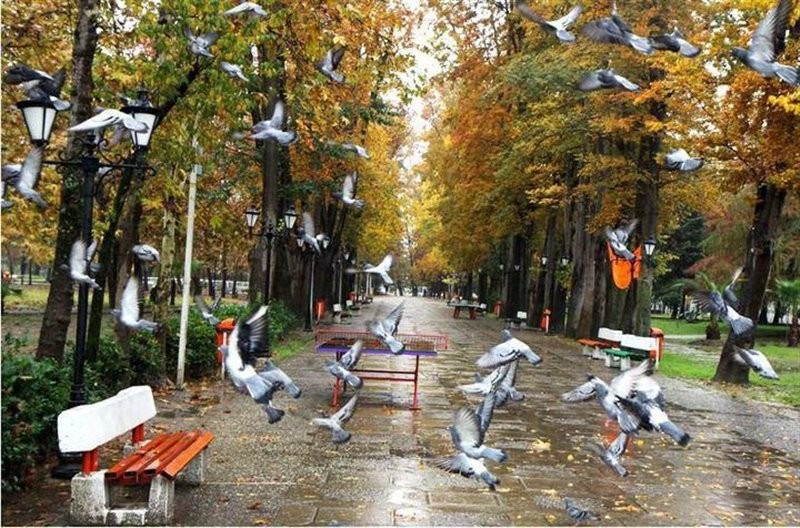باغ محتشم رشت