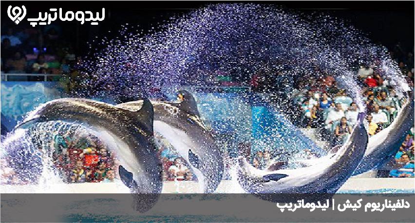 دلفیناریوم کیش