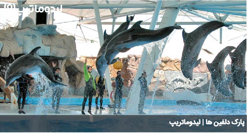 دلفیناریوم کیش