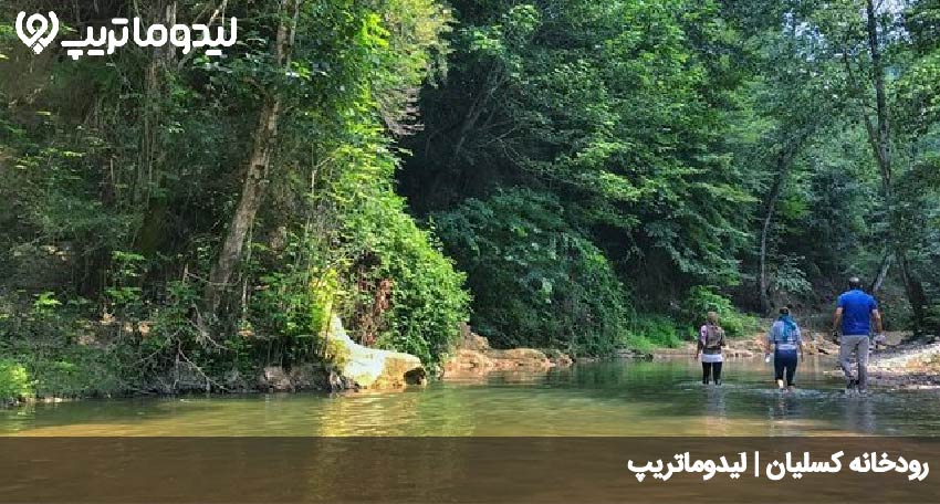 کسلیان