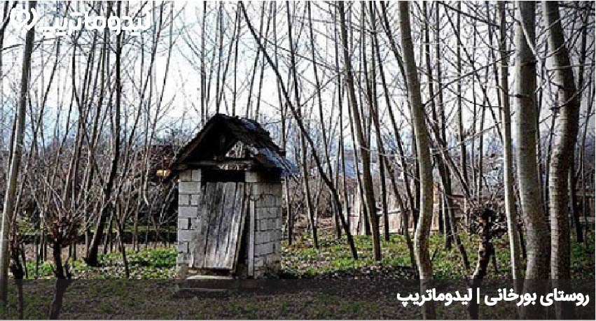 بورخانی