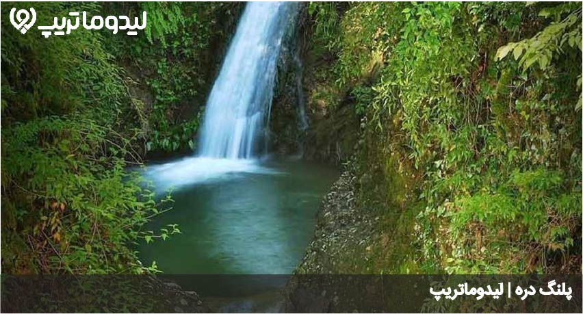 پلنگ دره