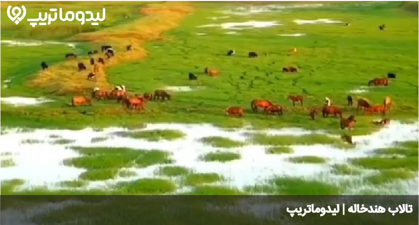 تالاب هندخاله