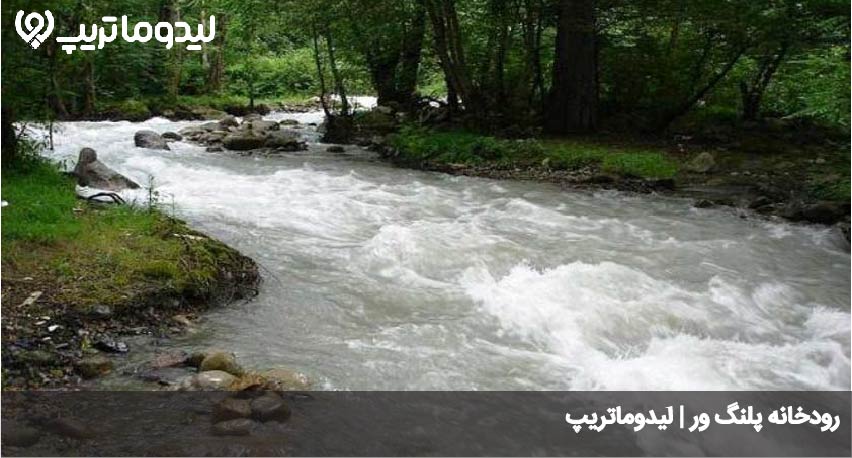 رودخانه پلنگ ور