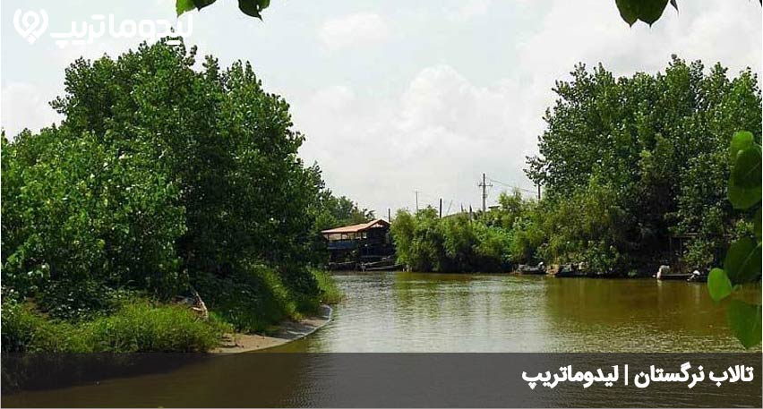 تالاب نرگستان