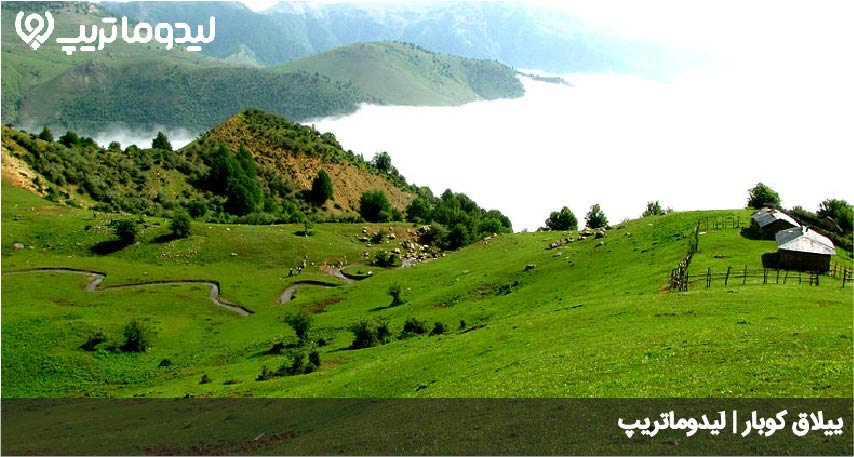 کوبار