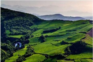 مینودشت