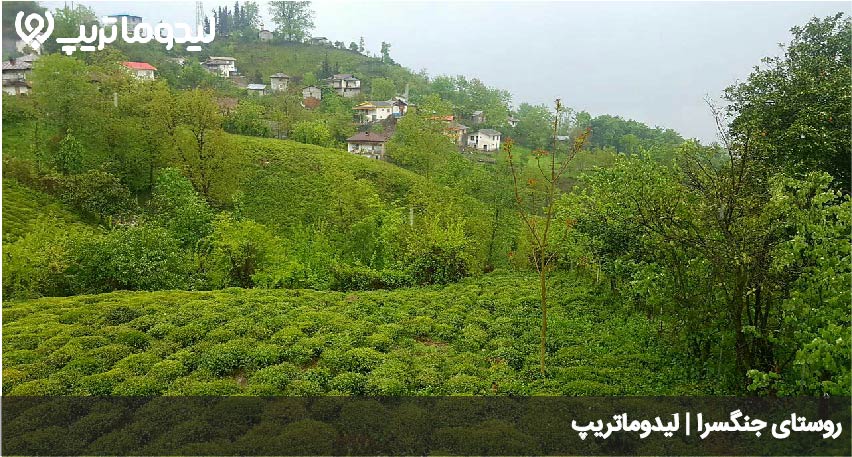 منطقه جنگسرا