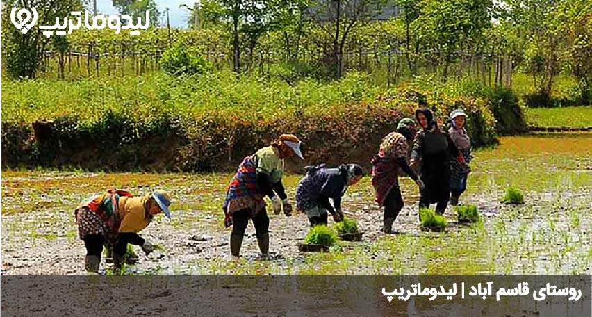 قاسم آباد