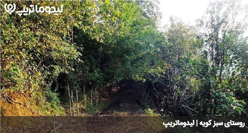سبزکویه