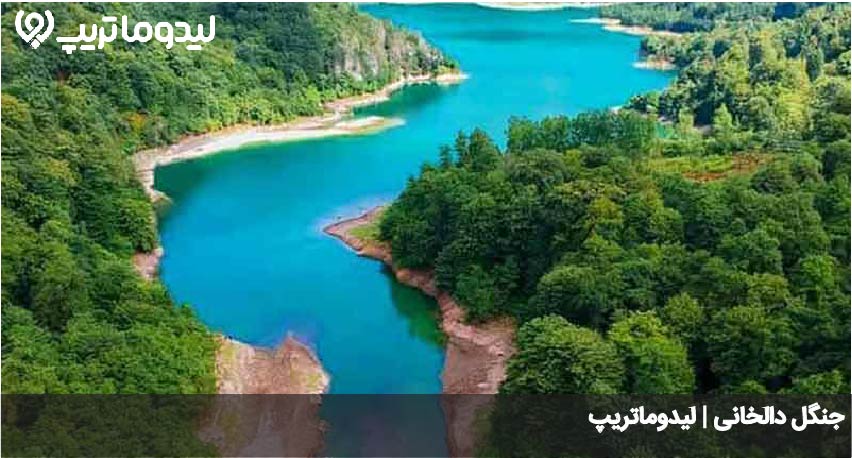 جنگل دالخانی