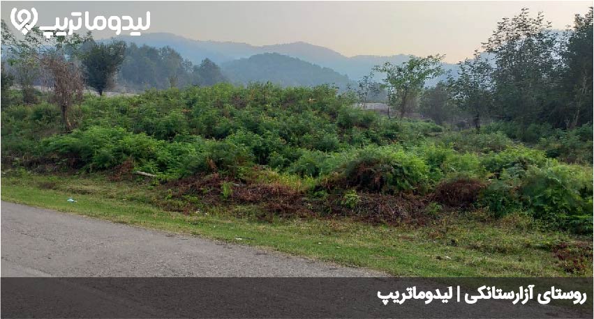 آزارستانکی