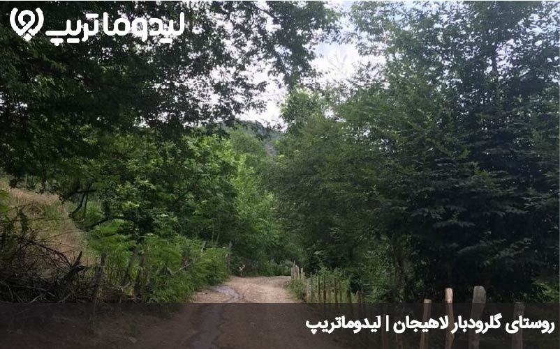 گلرودبار