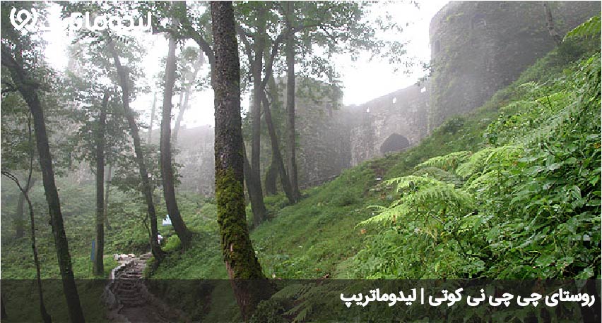 چی چی نی کوتی