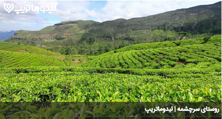 سرچشمه