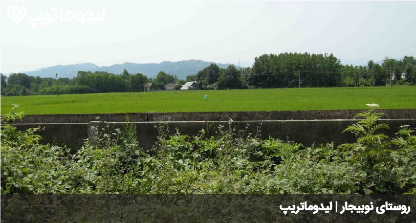 نوبیجار