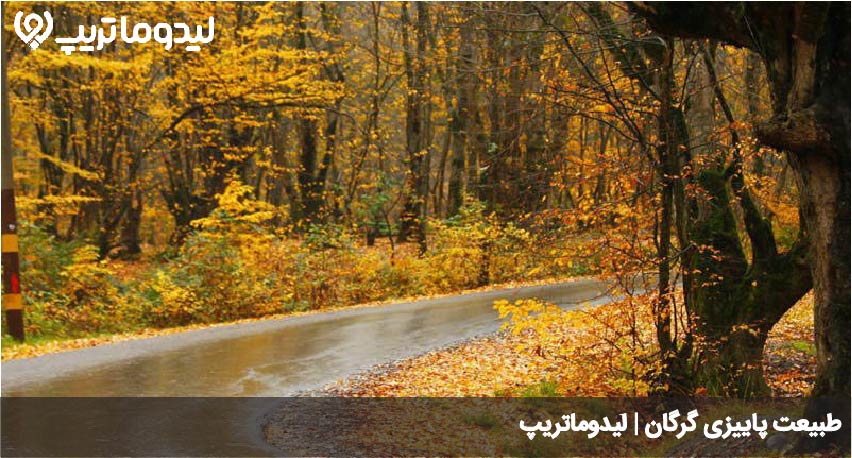 گرگان در پاییز 