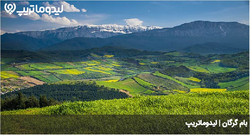 بام گرگان