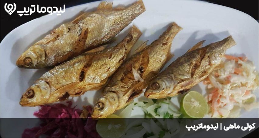 کولی ماهی