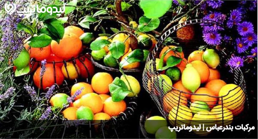 مرکبات بندرعباس