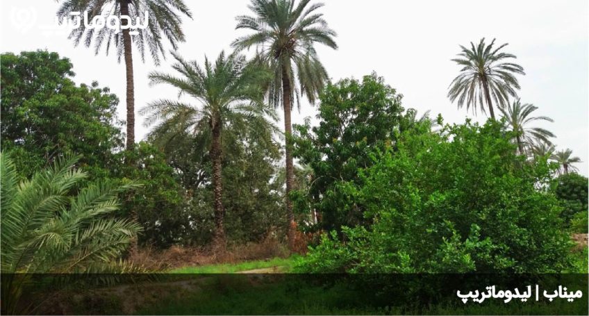 میناب